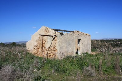 IMG_0790.jpg
