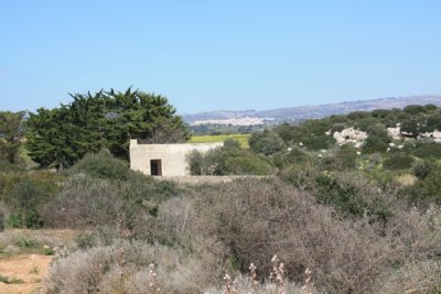 IMG_0792.jpg