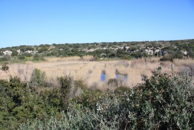 IMG_0795.jpg