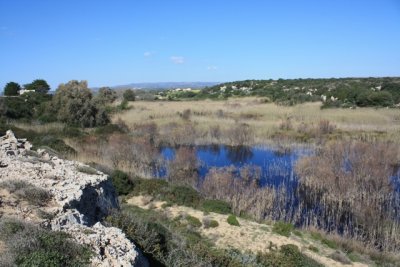 IMG_0798.jpg