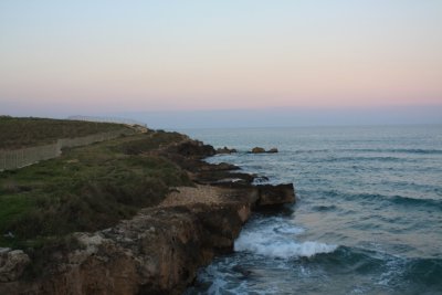 IMG_0834.jpg