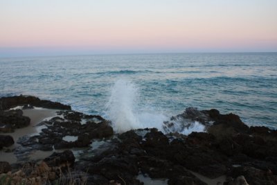 IMG_0835.jpg