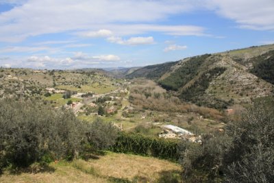 IMG_0876.jpg