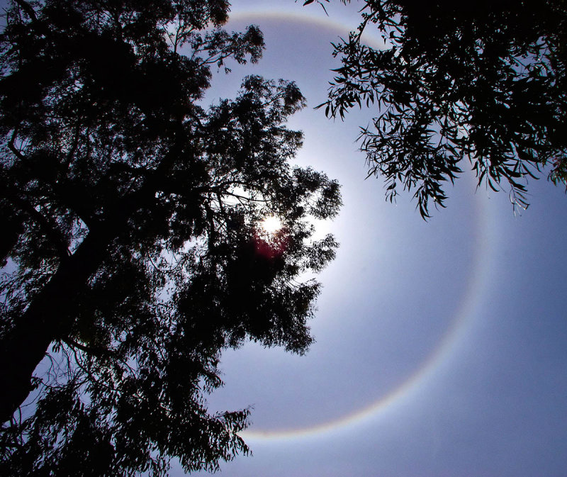 Sun dog .jpg