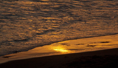 Sun Surf Sand _MG_0205.jpg