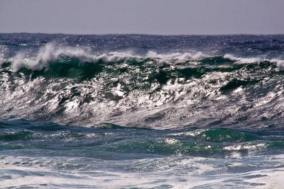 Pacific ocean wave _MG_8116.jpg