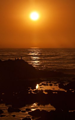 Pacific Sunset of the orange variety _MG_4036.jpg