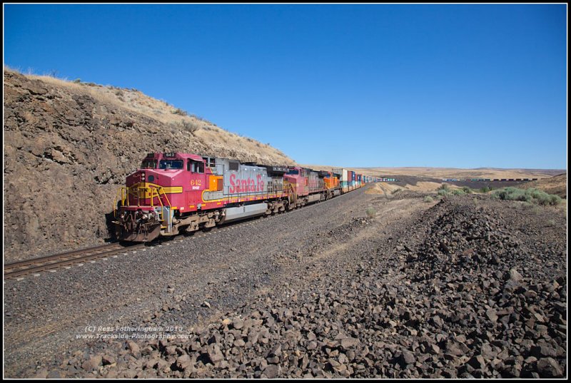 Warbonnet at Trinidad