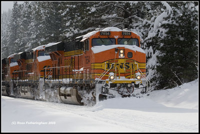 A Little Plow Action