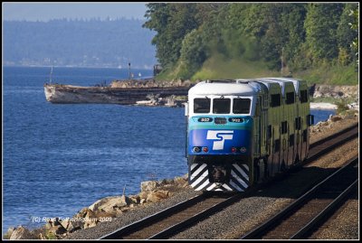 Sounder Picnic