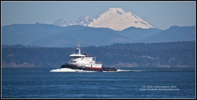 Tug Phyllis Dunlap on a Baker Day