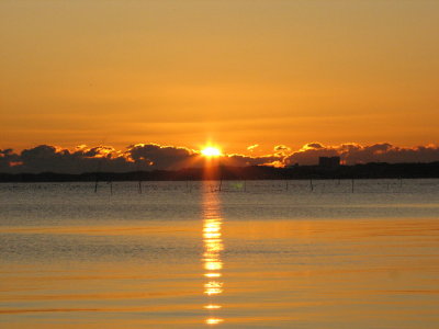 year2010_0001.jpg
