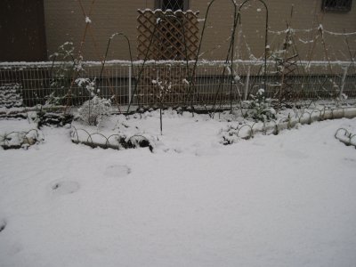 year2010_0001a.jpg