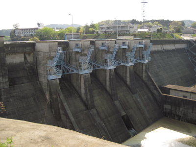 year2010_0009.jpg