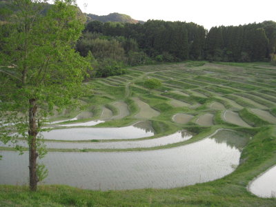 year2010_0010.jpg