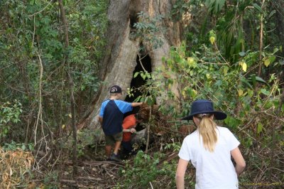 Mt Glorious 028.jpg