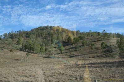 Mt Glorious 039.jpg