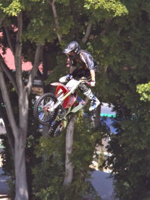 Bikes at the Show