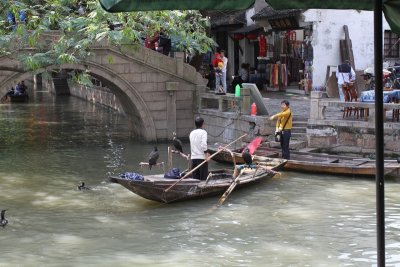 Cormorant Fisherman