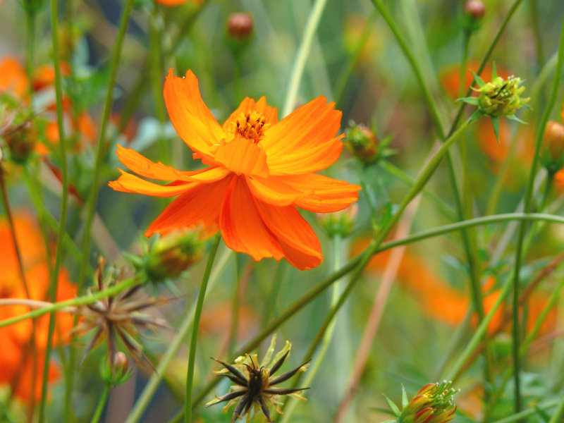 bright and beautiful