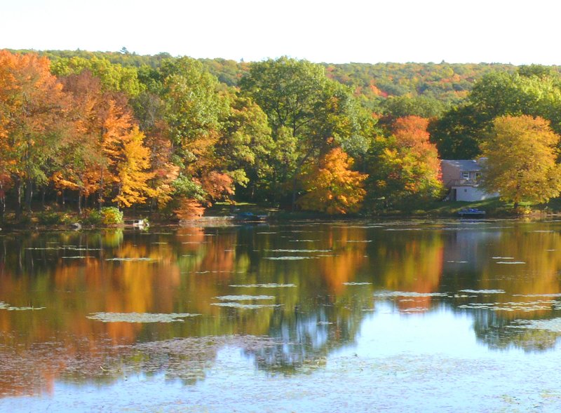 seasonal reflections