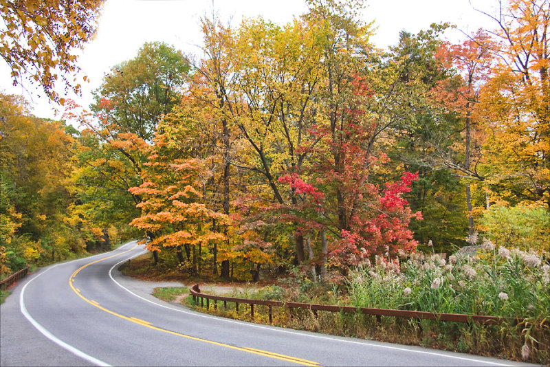 NY state drive