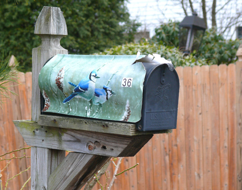 Fixer upper bluebird mailbox