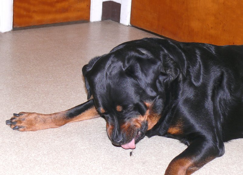 Ewwww... You taste horrible!!
