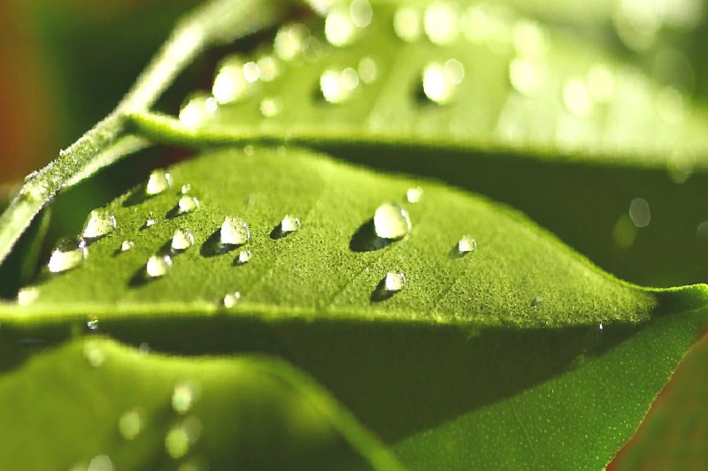 A sunny moment between rainy days