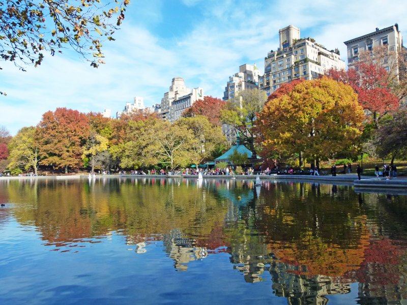 Pond views