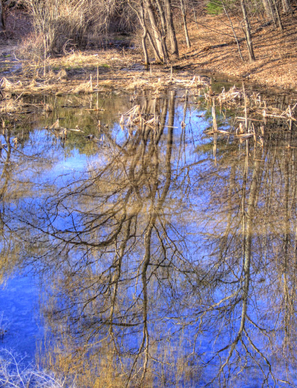 reflection on a clear winters day