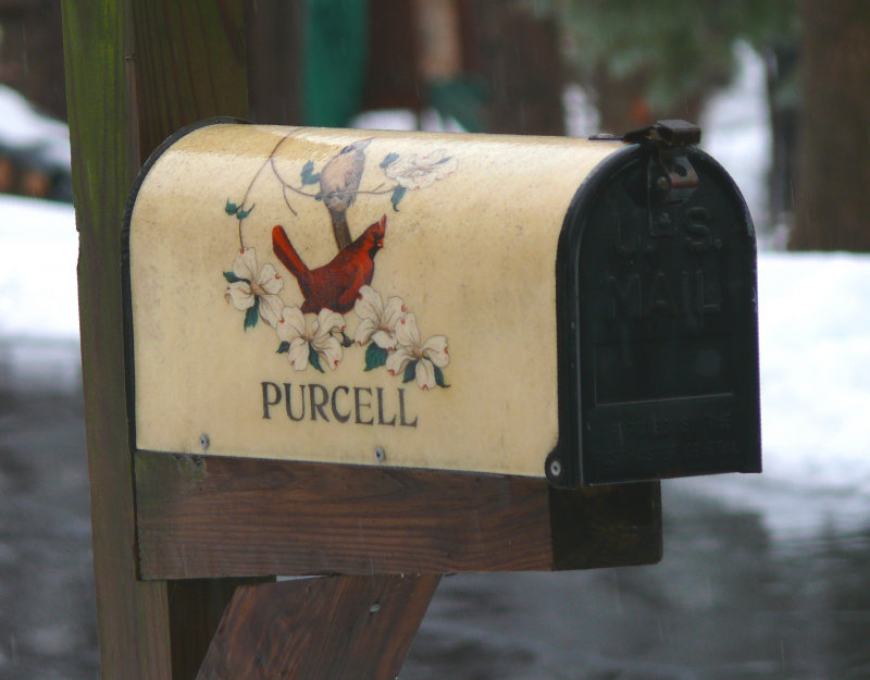 purcell