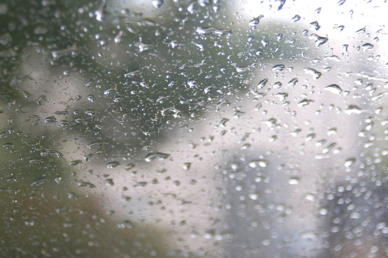 a rainy afternoon
