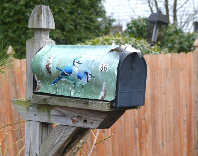 Fixer upper bluebird mailbox