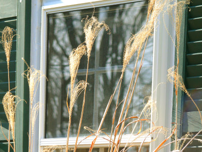 g1/16/673416/3/111142296.8HoHrFZs.jpg