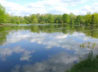 The pond on Sunday