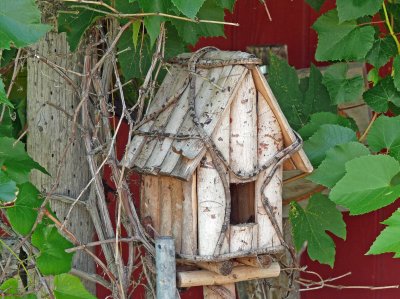 Little birdhouse on the prairie