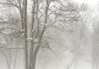 February 10 snow squall