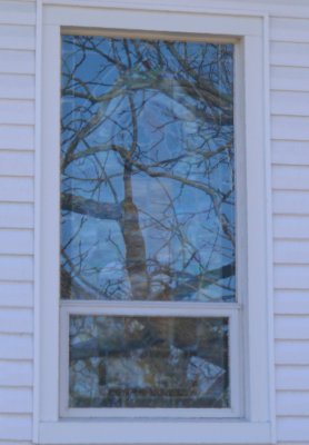 window reflections
