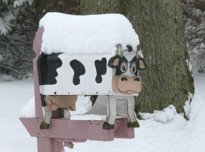 frozen cow mailbox
