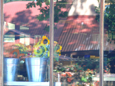 Farm Store window reflection