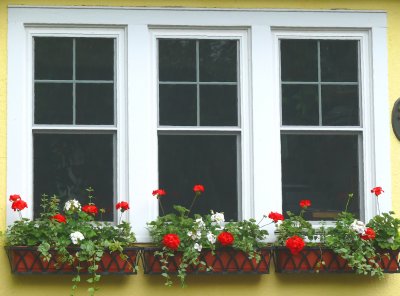 window with flowerpots