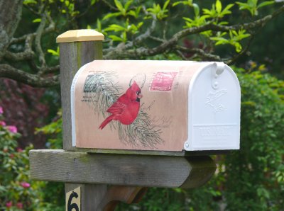 cardinal mailbox