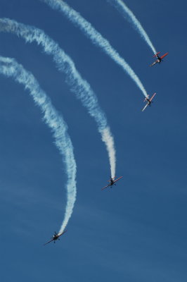 The Blades