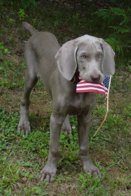  Rudy - July 2007