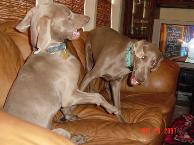  Boo & Rudy - August 2007