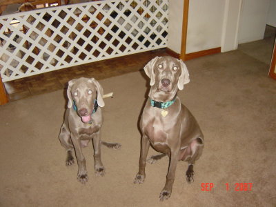  Boo & Rudy - September 2007