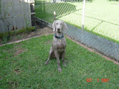 Rudy - October 2007