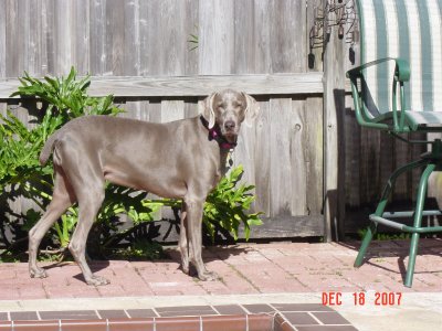  Boo - December 2007