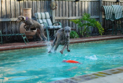 Rudy Walks on Water